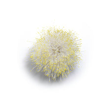 Load image into Gallery viewer, Vicki Mason - Hazy Wall Wattle