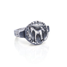Load image into Gallery viewer, Georgie Brooks - Studio Pony ring
