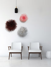 Load image into Gallery viewer, Vicki Mason - Sunrise Wall Wattle