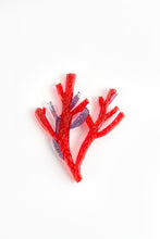 Load image into Gallery viewer, Kath Inglis Amansia-pinnatifida
