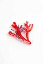 Load image into Gallery viewer, Kath Inglis Amansia-pinnatifida
