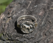 Load image into Gallery viewer, Georgie Brooks - Studio Pony ring
