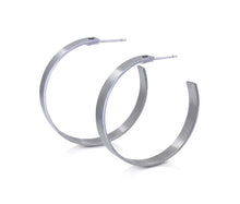 Load image into Gallery viewer, David Parker - Titanium earrings
